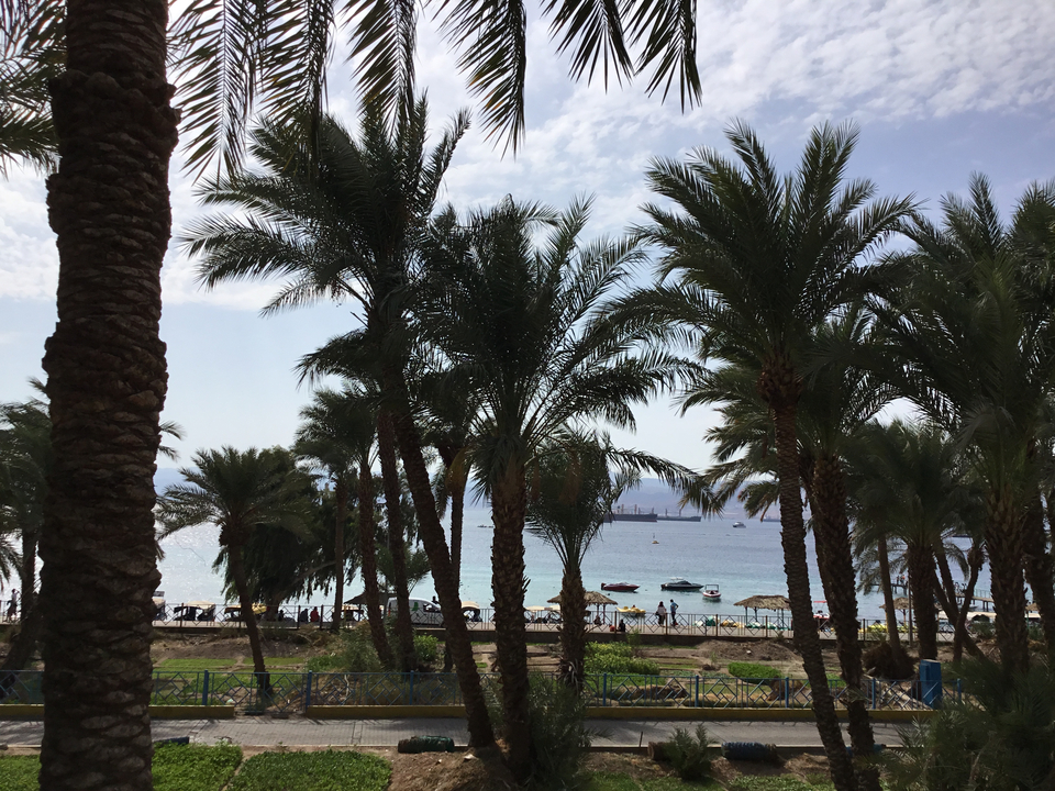 Palmiers et zone de plage avec vue sur la mer.