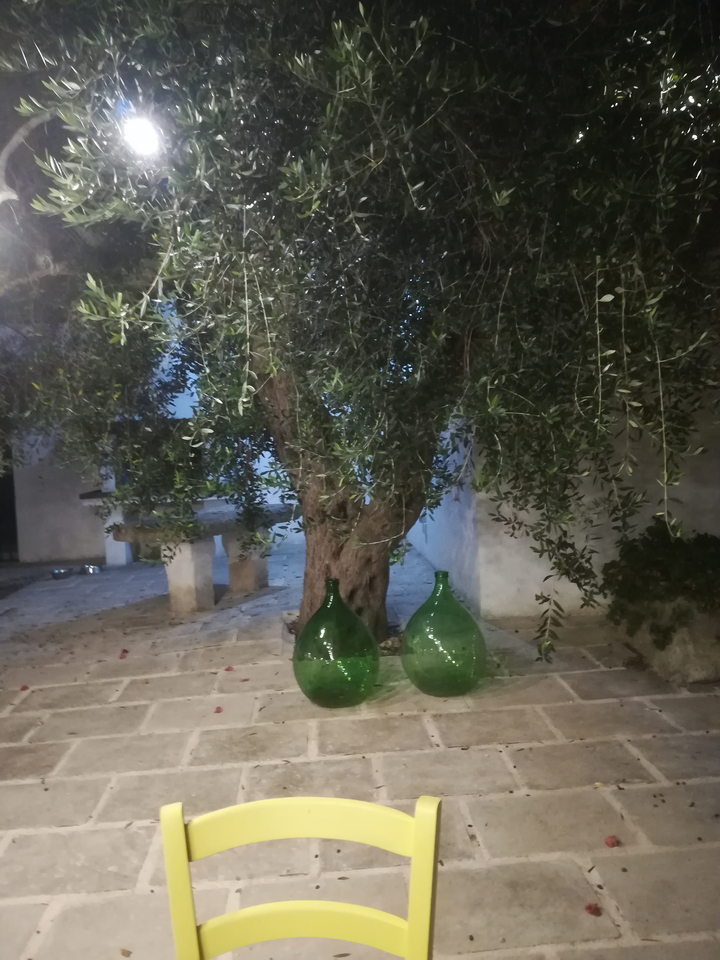 Olivier avec de grandes bouteilles vertes le soir.