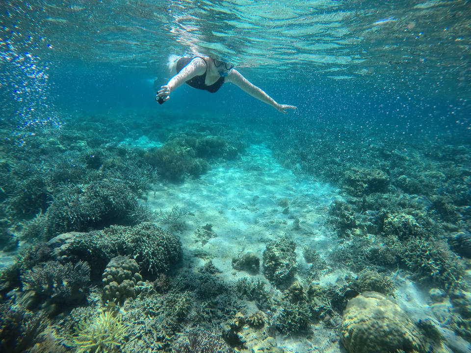 Underwater shot of a person swimming above coral reefs.