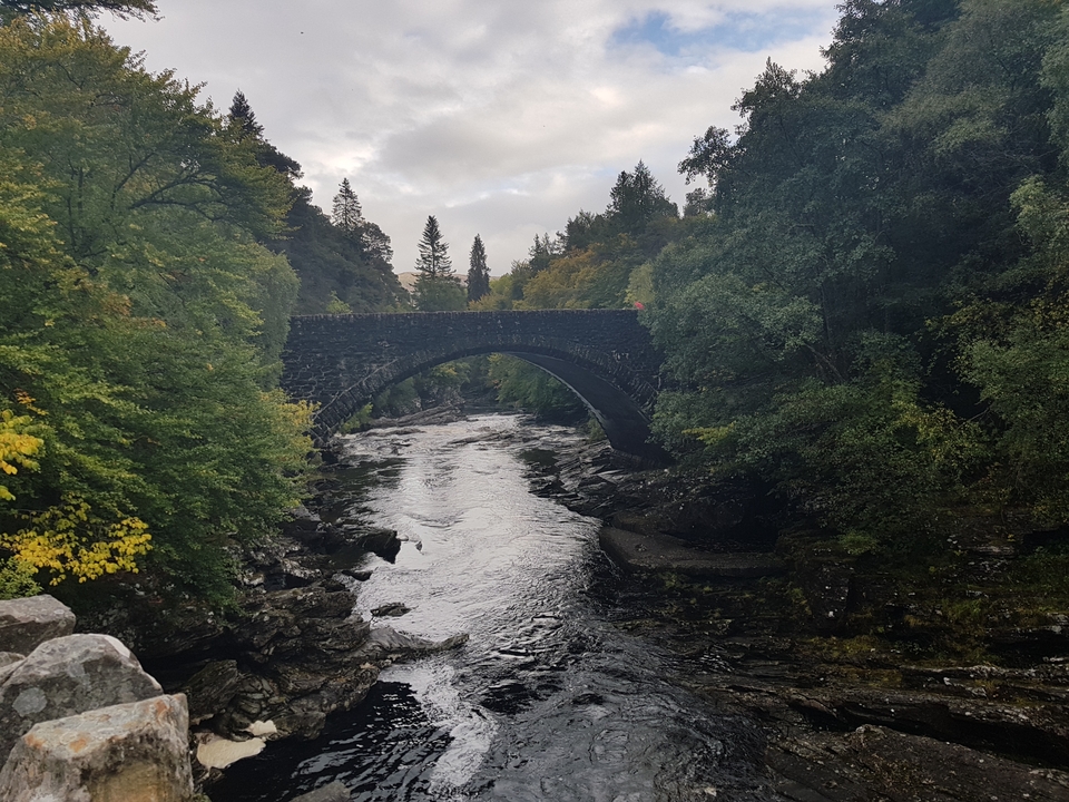 Pont de pierre au-dessus d'un ruisseau dans une forêt luxuriante.