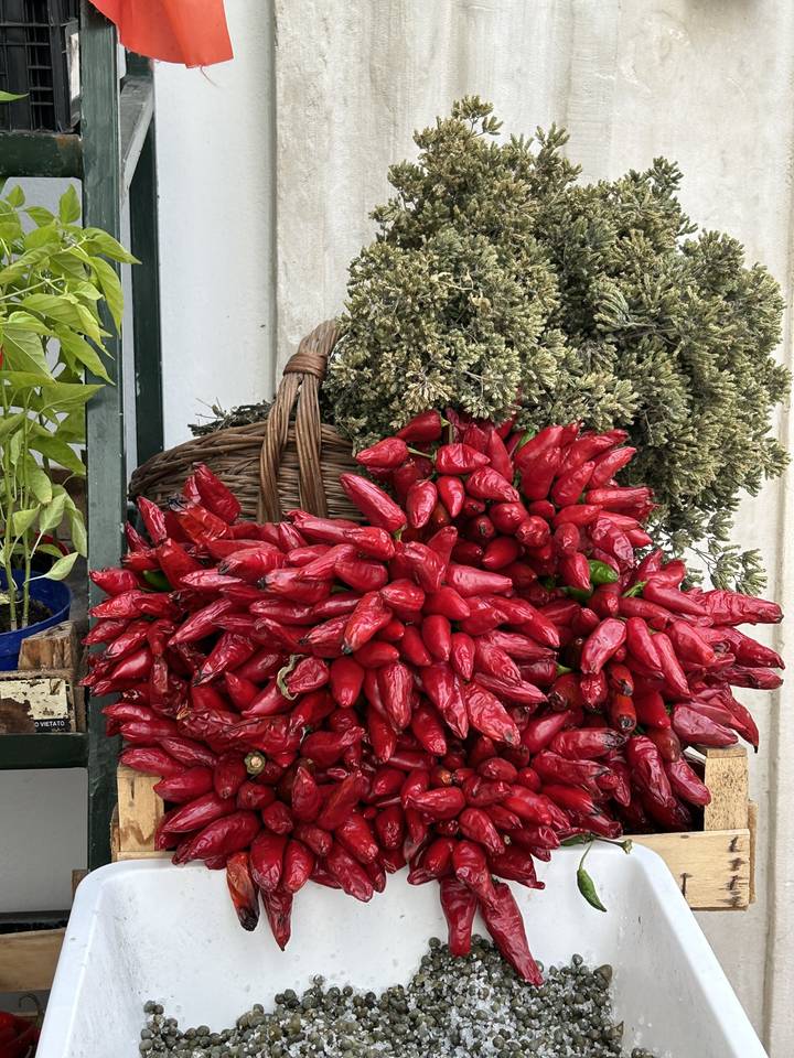 Panier de piments rouges exposés.