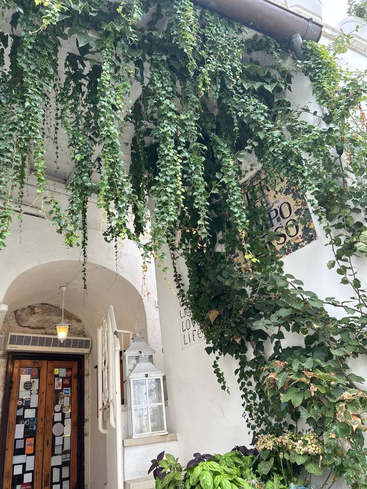 Mur avec des plantes suspendues verticalement et une fenêtre.