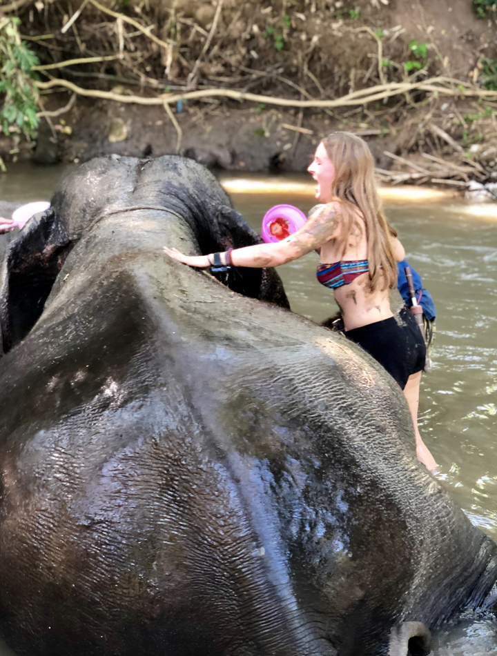 Person interacting with an elephant in water.