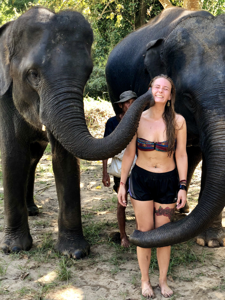 Person standing beside elephants.