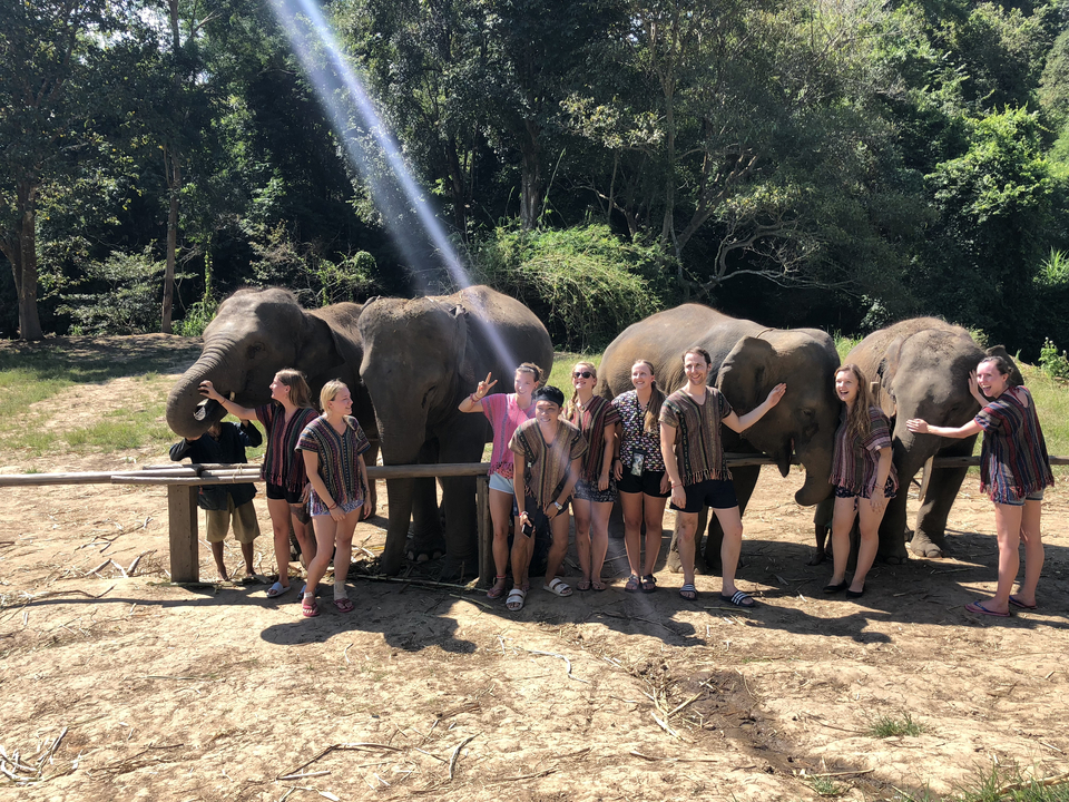Group of people posing with elephants.
