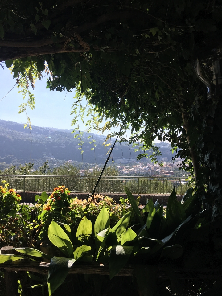 Vue panoramique sur une vallée avec de la végétation et des bâtiments au loin.