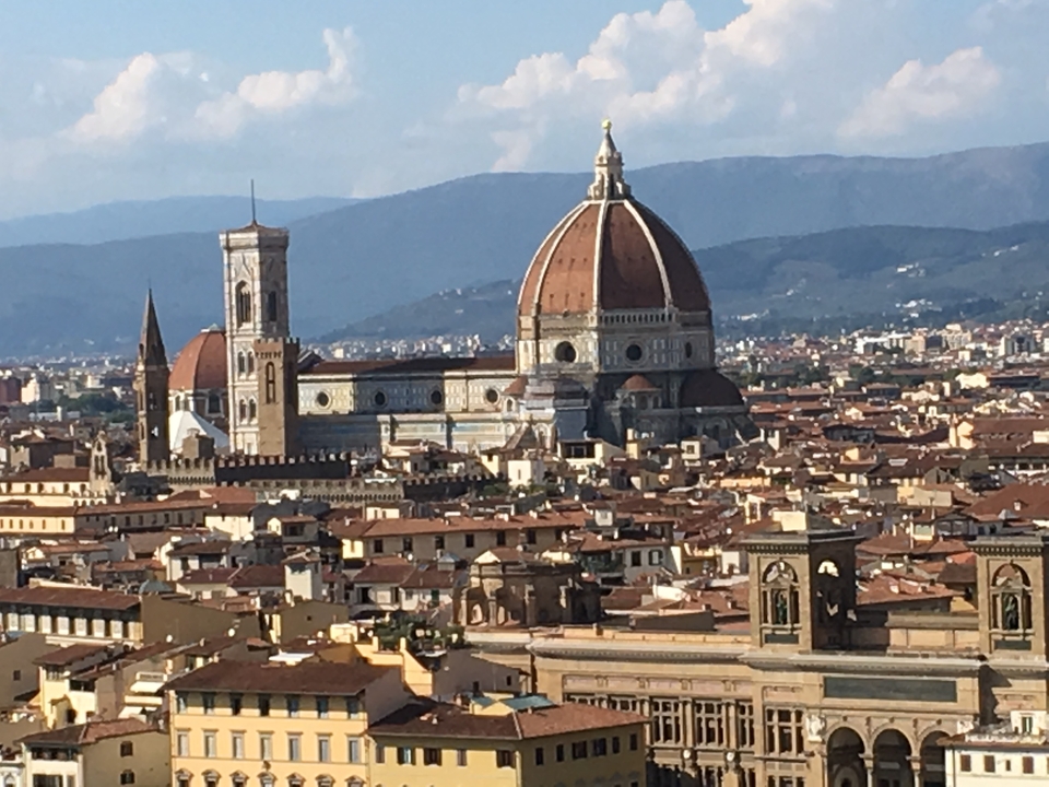 Vue de Florence avec l'emblématique Duomo et le paysage urbain environnant.