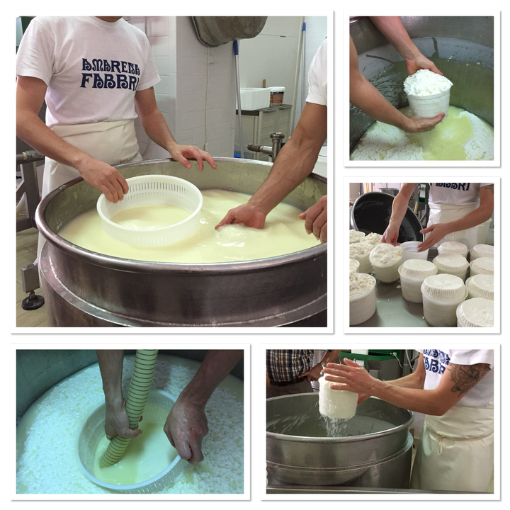 Processus de fabrication du fromage dans une laiterie.