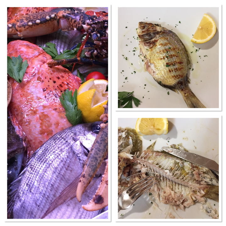 Étalage de poissons frais et de plats préparés.