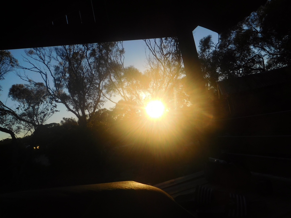 Coucher de soleil à travers les arbres créant une silhouette.