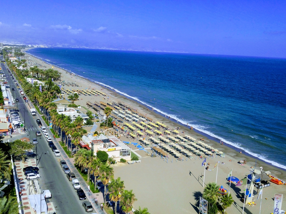 Vue aérienne d'une plage avec des transats et des palmiers.