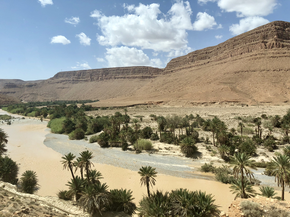 Wüstenlandschaft mit Palmen und Fluss.