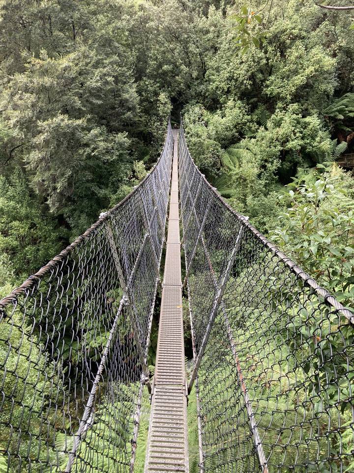 Un long pont suspendu au-dessus d'une forêt dense.