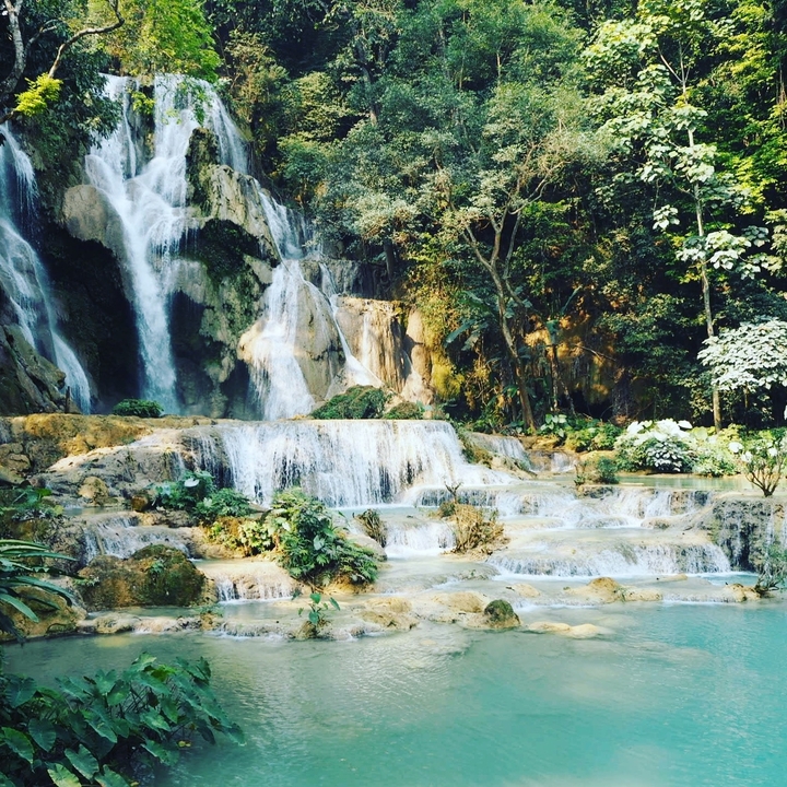 Des cascades en cascade dans une zone forestière verdoyante et luxuriante.