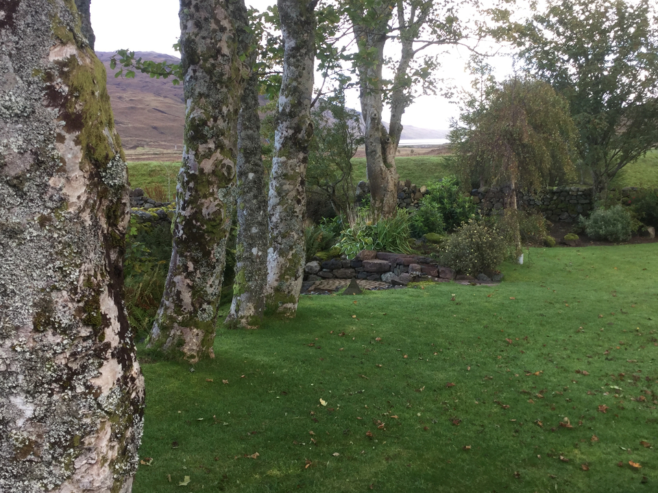 Un jardin avec des arbres et un chemin de pierre.