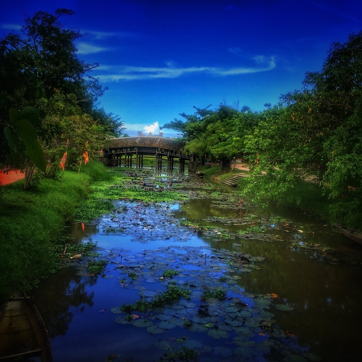 Pont en bois au-dessus d'une rivière luxuriante avec des nénuphars.
