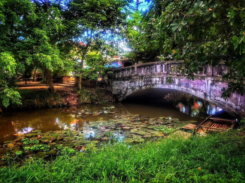 Pont de pierre au-dessus de l'eau avec des nénuphars, dans un cadre verdoyant et luxuriant.