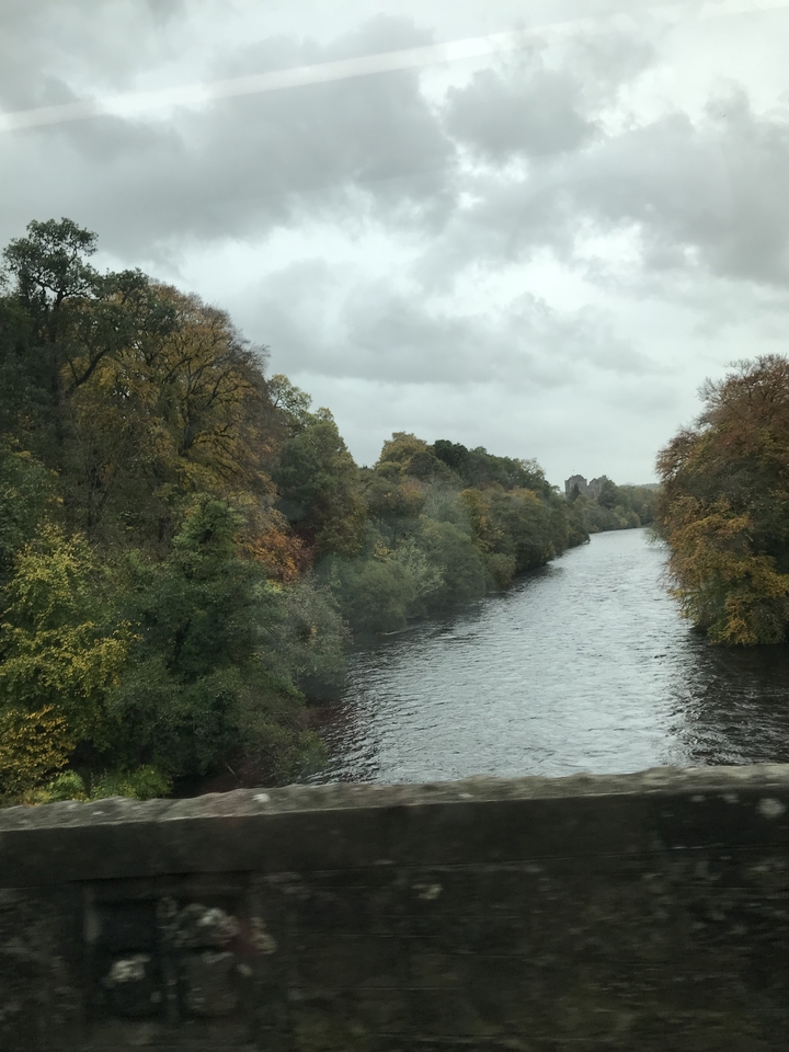 River lined with autumnal trees and overcast sky.