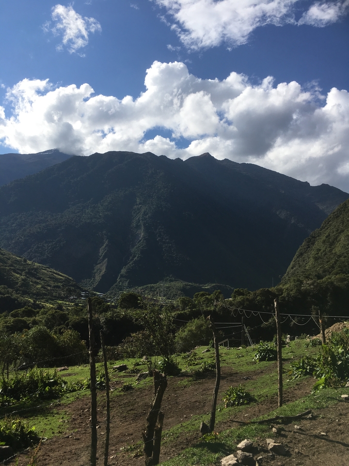 Toile de fond montagneuse avec une végétation luxuriante au premier plan.