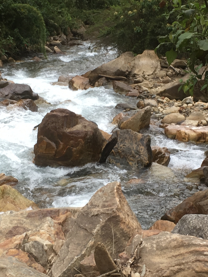 Gros plan d'un ruisseau qui coule avec des rochers et de l'eau.