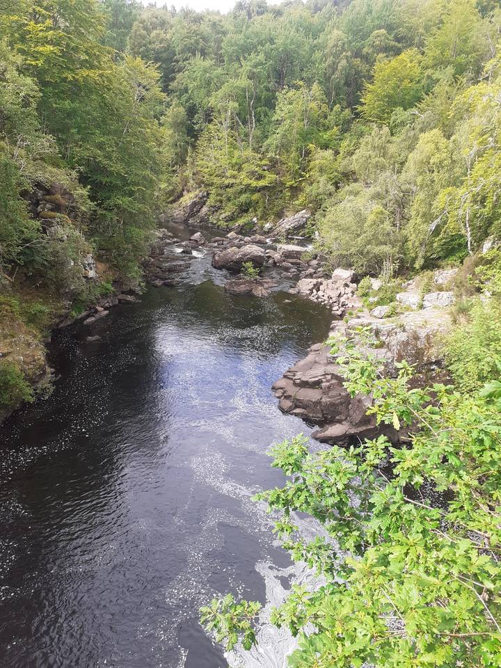 River flowing through a rocky landscape with surrounding trees
