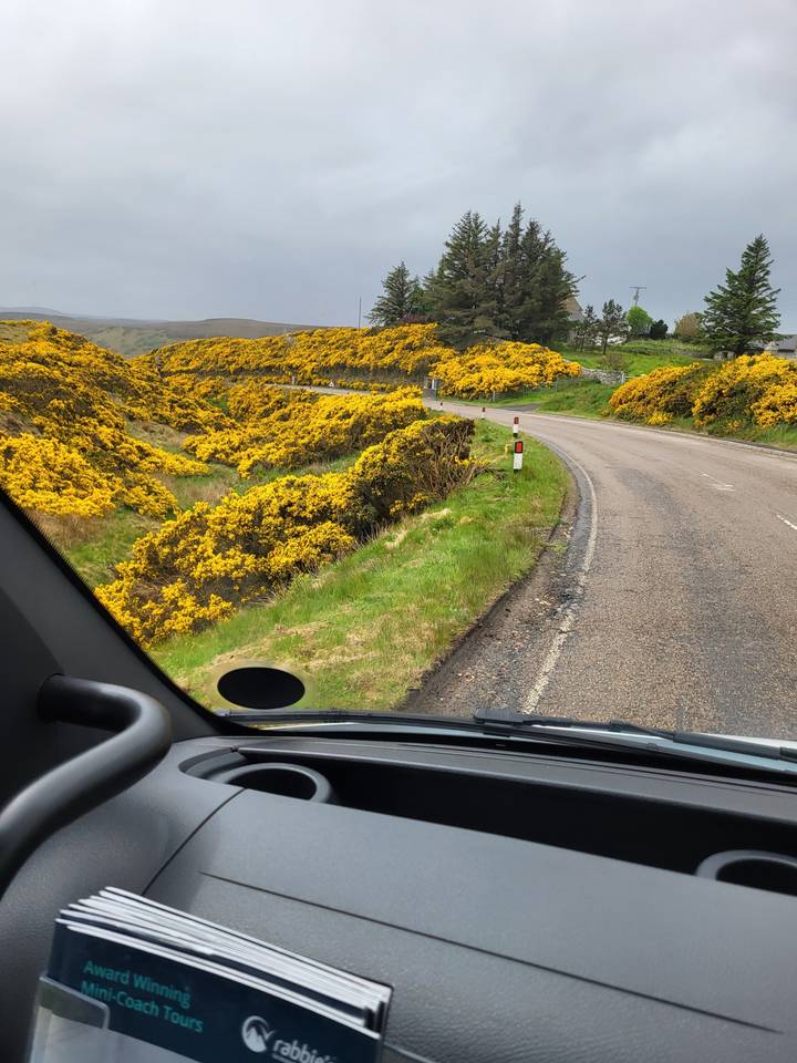 A view from inside a vehicle on a rural road.