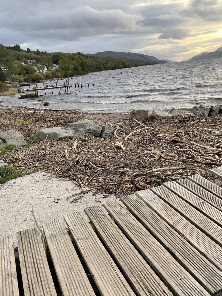 Rive de lac avec passerelle en bois et bois flotté.