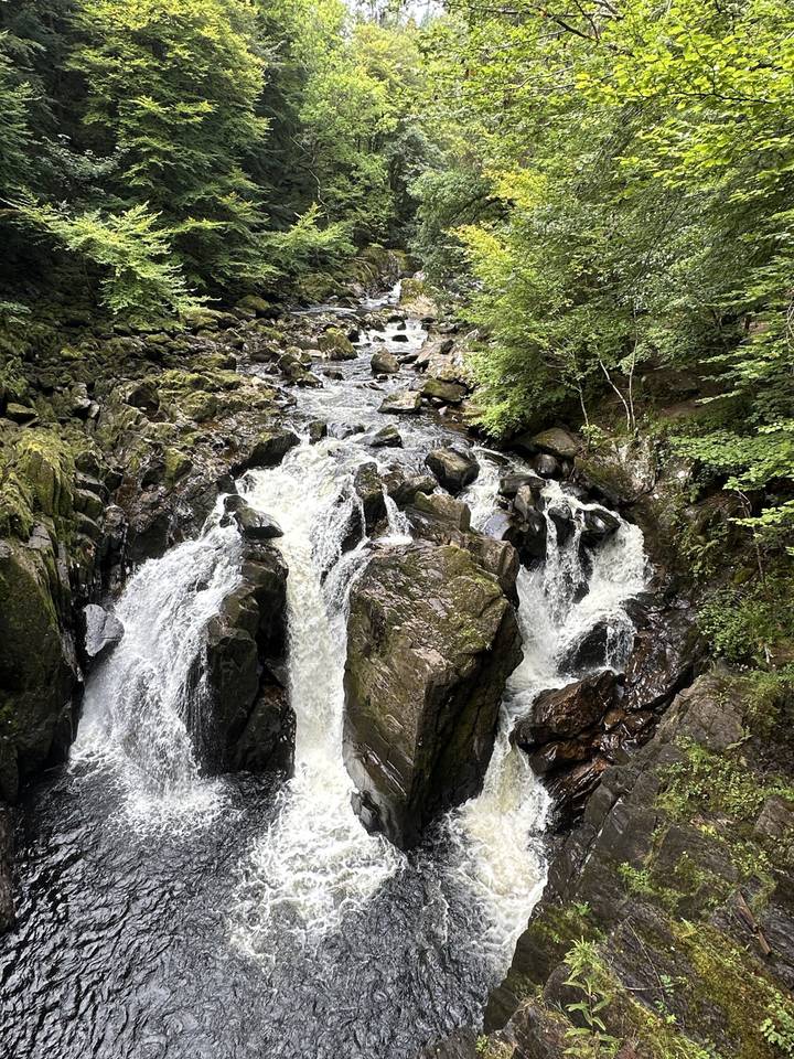 Cascade coulant parmi un terrain rocheux et des arbres.