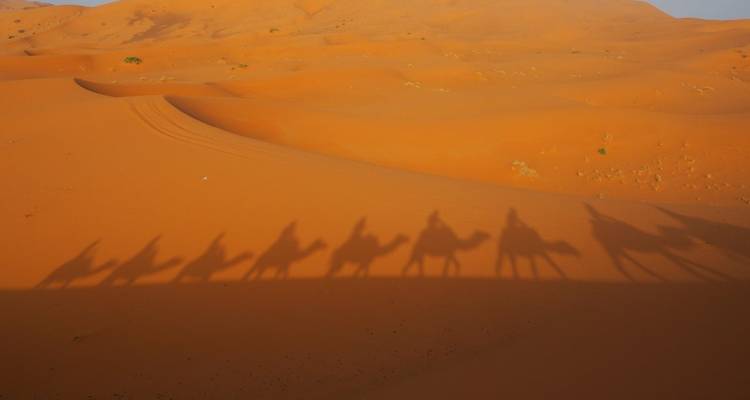 Shadow of camels and riders on the sand dunes.