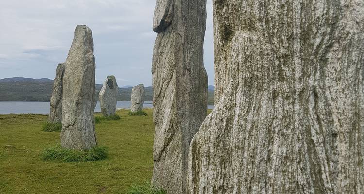 Piedras enhiestas de Callanish en un paisaje herboso.