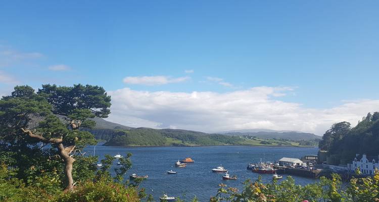 Vista de un puerto con barcos bajo un cielo azul.