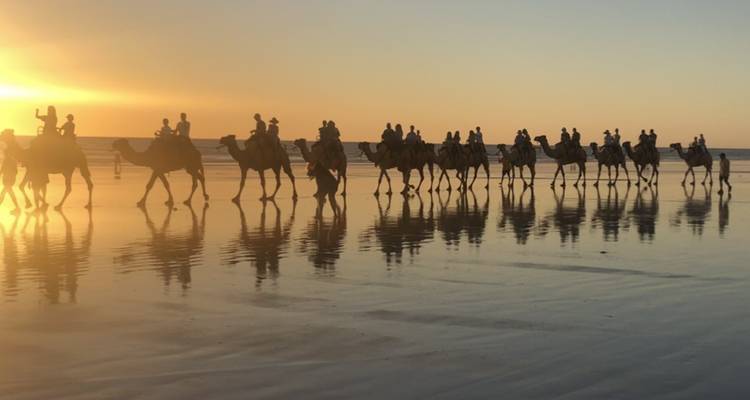Line of camels with riders walking along the beach during sunset.