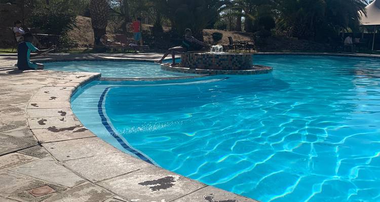 Swimming pool surrounded by palm trees and a clear sky.