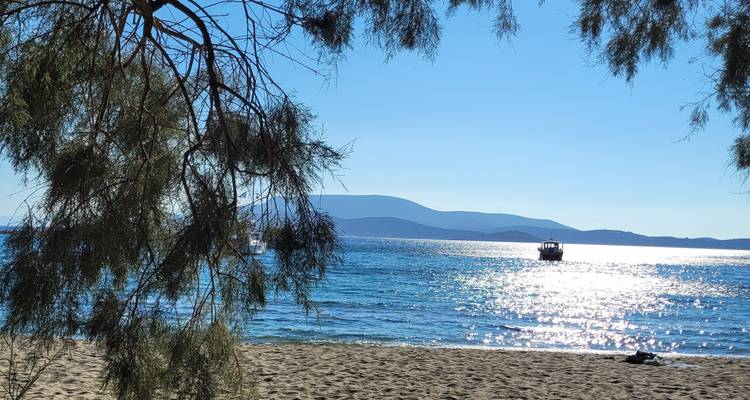 Playa de arena con árboles que dan al océano.