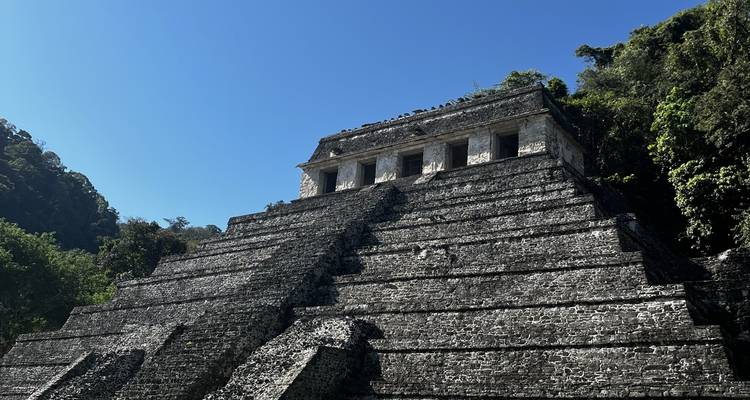 Ancient pyramid structure in jungle setting.