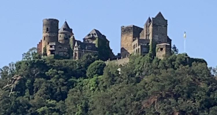Castle on hilltop with surrounding trees.