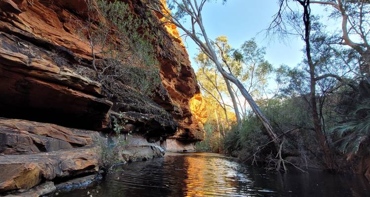 Creek running through a scenic canyon.