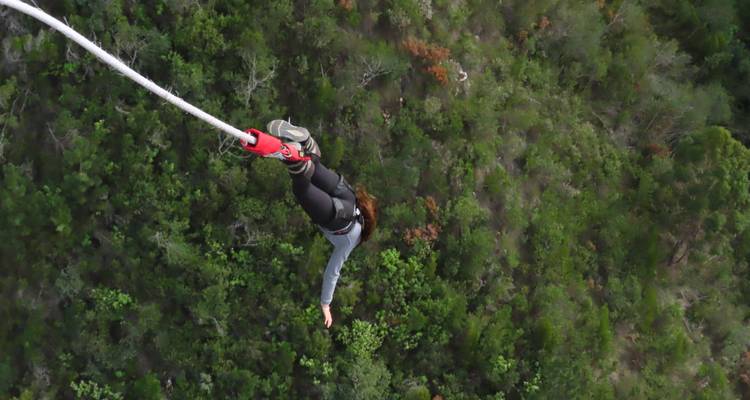 Personne faisant du saut à l'élastique au-dessus d'une zone boisée.