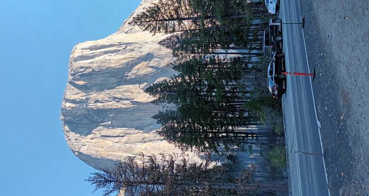 El Capitan, a notable granite formation, with trees lining the foreground.