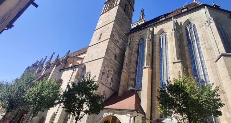 Historische kerk met hoge glas-in-loodramen en bomen op de voorgrond.