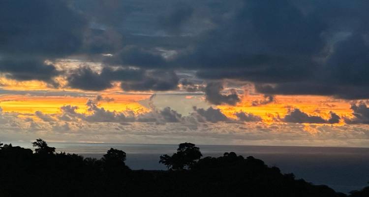 Colorful sunset over the ocean with silhouetted trees.
