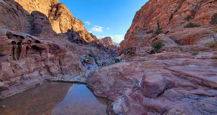 Vue panoramique d'un canyon avec la lumière du soleil créant des ombres contrastées.