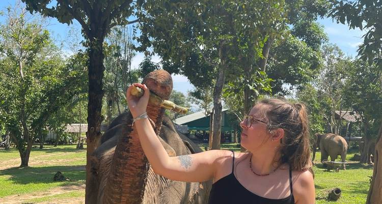 Woman feeding an elephant in a lush sanctuary setting.