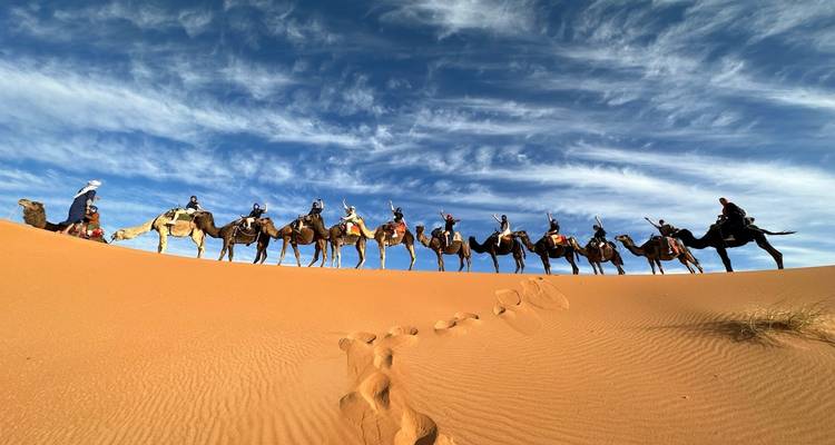 Kamelenvkaravaan op zandduinen onder een blauwe hemel.