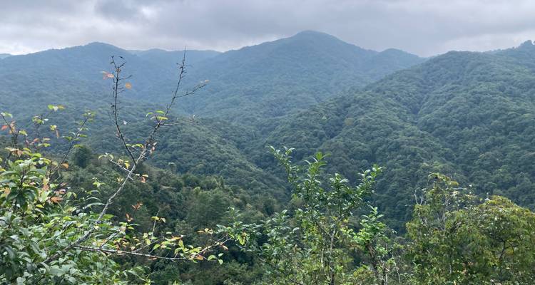 Lush green mountains under a cloudy sky.