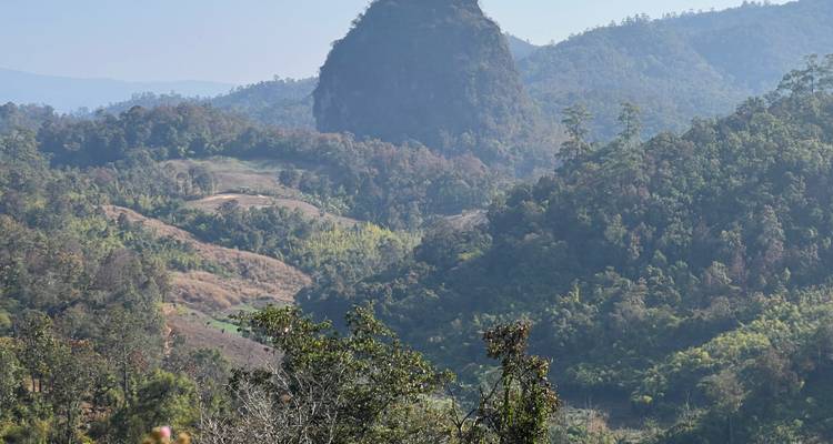 View of lush green mountain landscape.