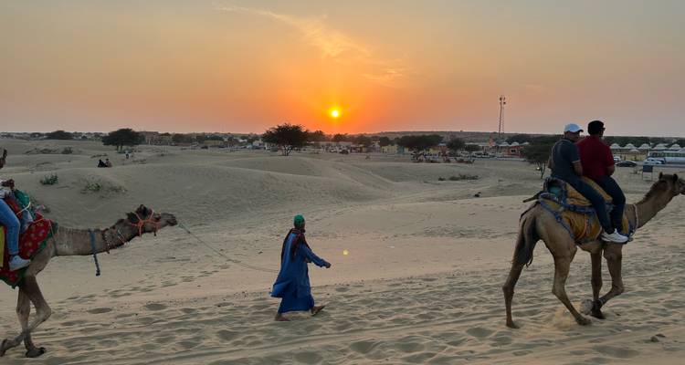 A person leading camels in the desert at sunset.