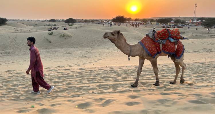 A person leading a camel in the desert at sunset.
