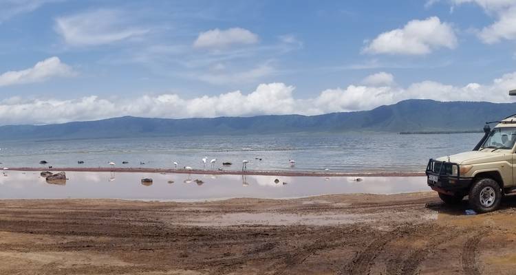 Lakeside view with flamingos and a safari vehicle.