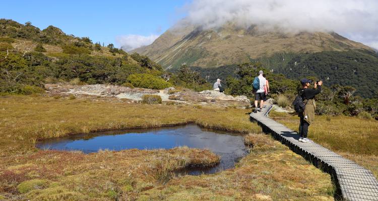 Hikers walking on a path through a lush landscape with mountains in the distance.